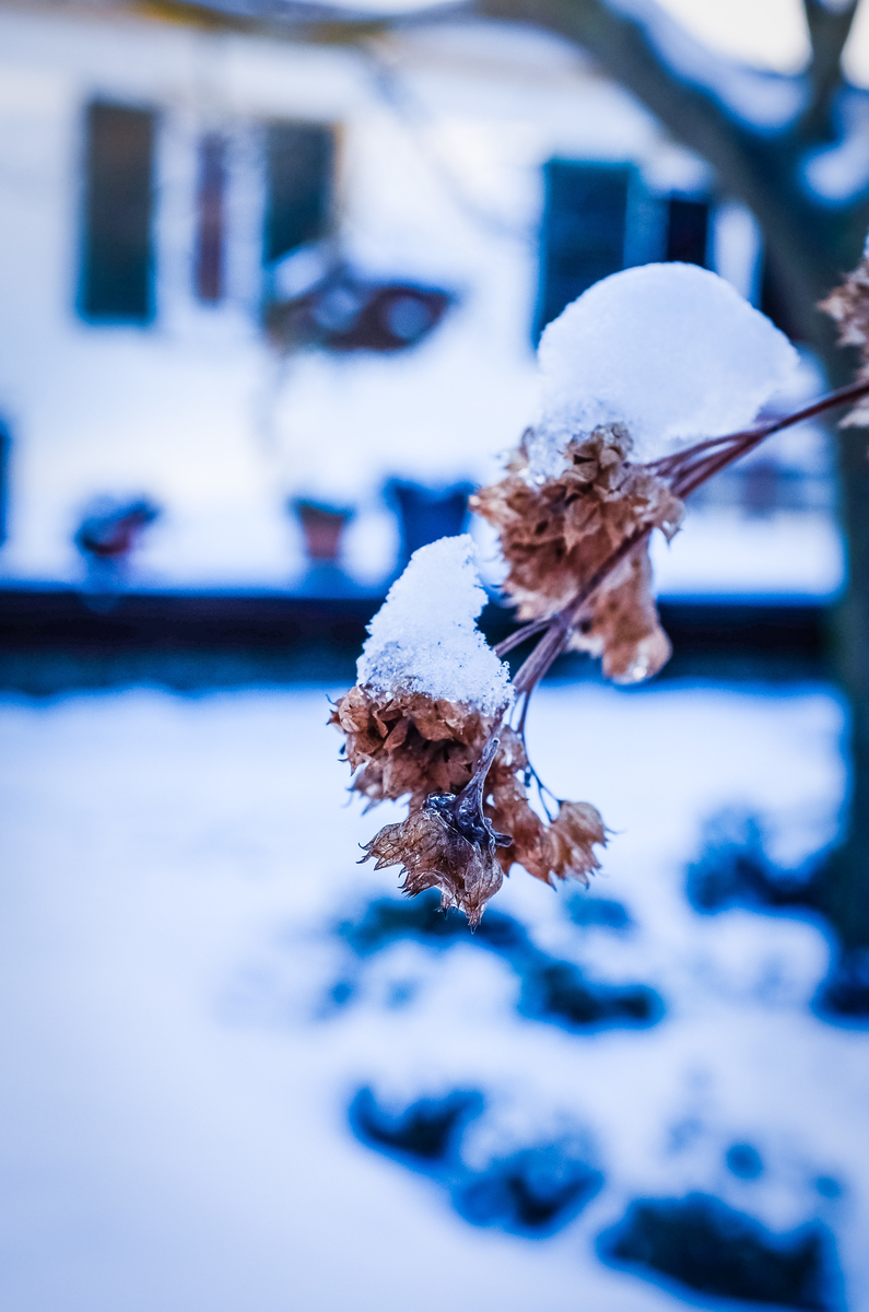 どんな時だってどこにだってあるよ 短編ギャラリー