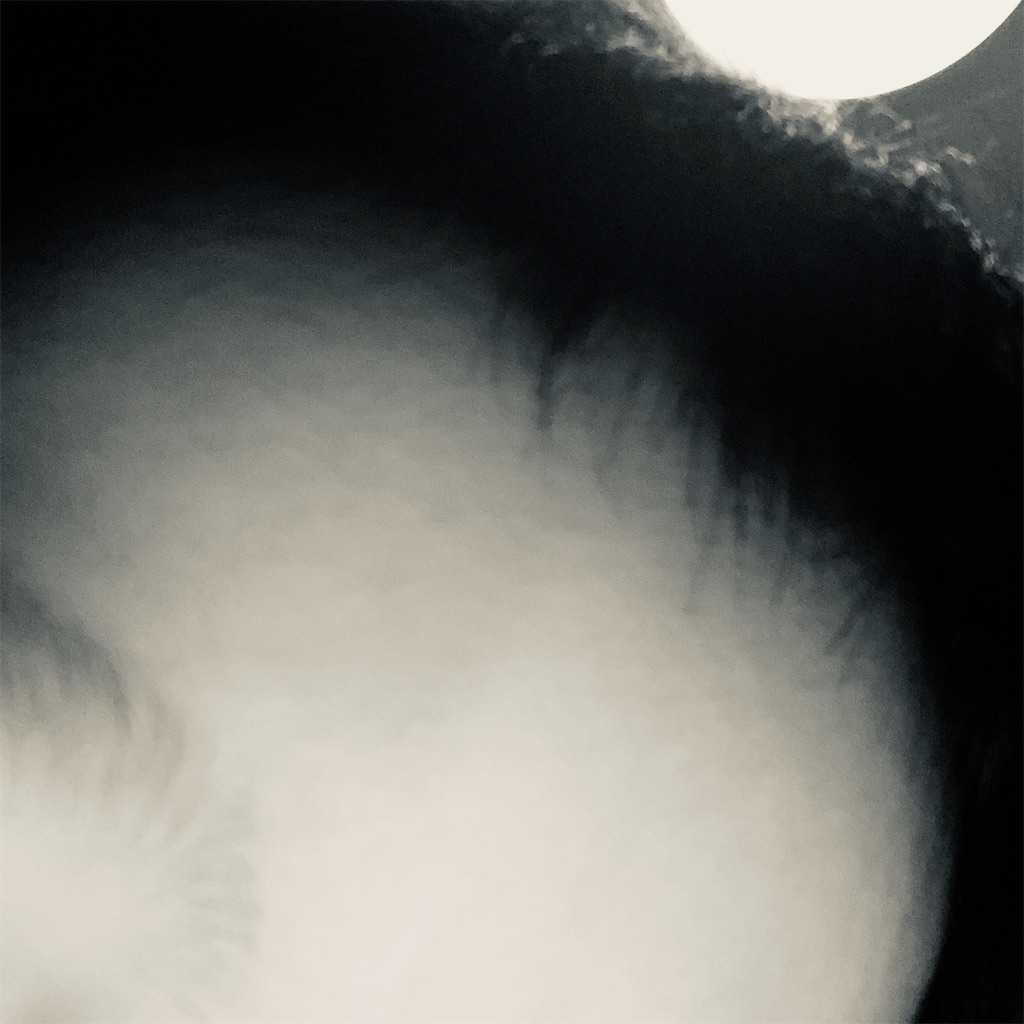 f:id:keimamacha:20200429025123j:image