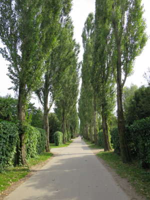 f:id:keimiyata:20150911125338j:image