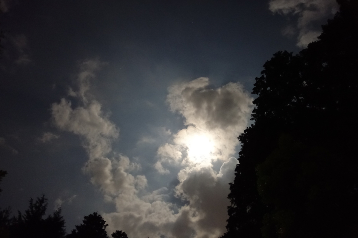 f:id:keimol113:20190916230025j:plain