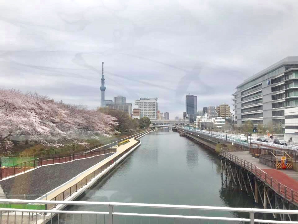 f:id:keio-tkt48:20190407002417j:plain f:id:keio-tkt48:20190407002417j:plain