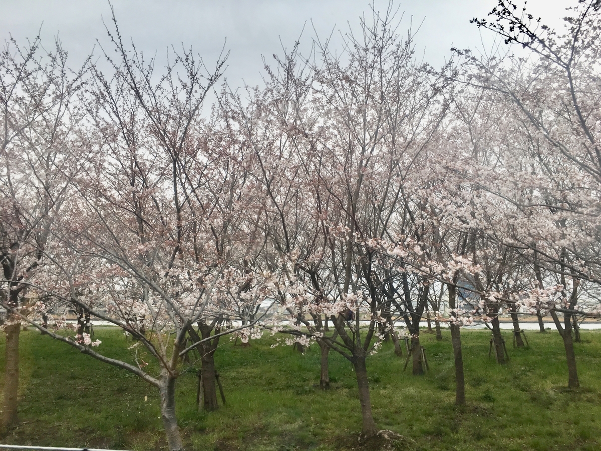 f:id:keio-tkt48:20190407002739j:plain f:id:keio-tkt48:20190407002739j:plain