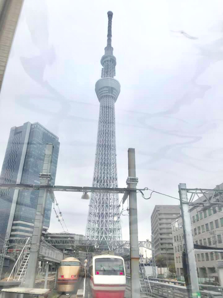 f:id:keio-tkt48:20190407003304j:plain f:id:keio-tkt48:20190407003304j:plain