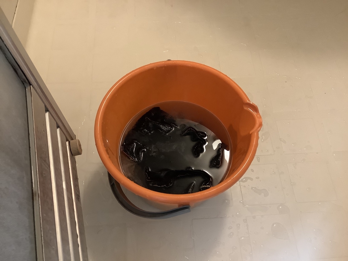 f:id:keionkakimasen:20210312200953j:plain