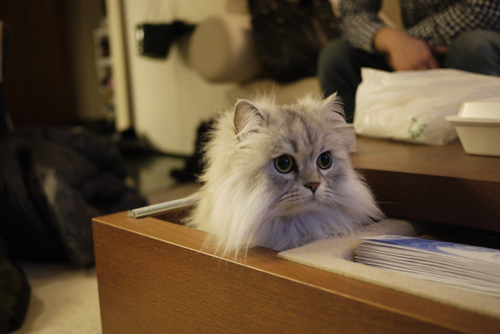 f:id:keioyama:20110227183951j:image f:id:keioyama:20110227183951j:image