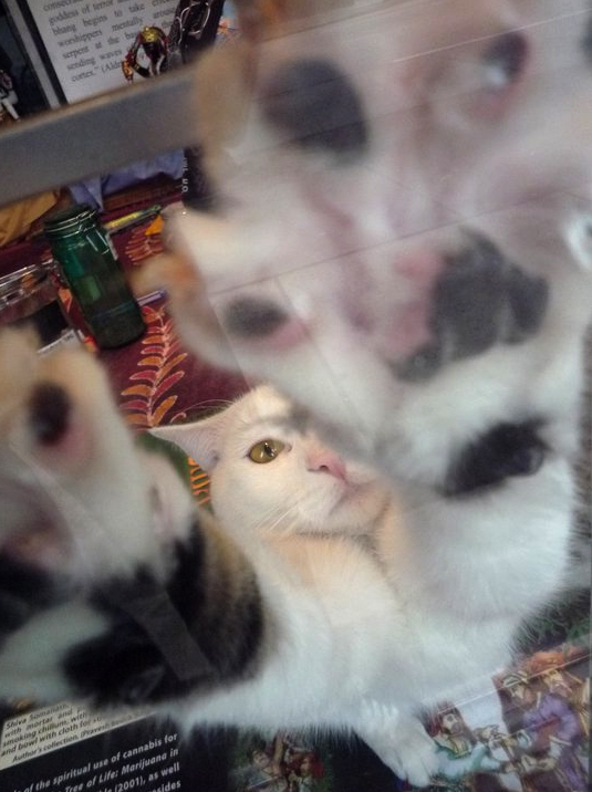 f:id:keioyama:20110329154622j:image f:id:keioyama:20110329154622j:image