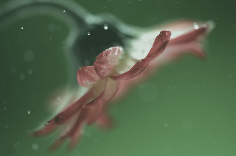 f:id:keiphotoshop:20130124162053j:image f:id:keiphotoshop:20130124162053j:image