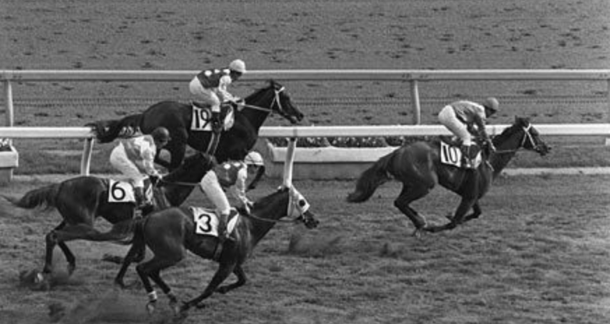 ブレッシングレイン キャロットクラブ 新馬戦 ダービーを勝つか 未勝利で終わるか それは走ってみないとわからない ニンジン 馬鹿クラブレポート キャロット一口馬主ブログ ブレッシングレイン キャロットクラブ 新馬戦 ダービーを勝つか 未勝利で終わるか それは走ってみないとわからない ニンジン 馬鹿クラブレポート キャロット一口馬主ブログ
