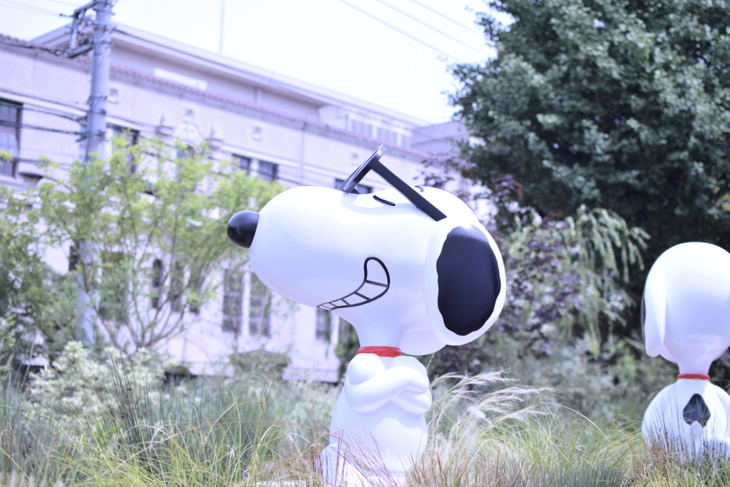 f:id:keiryocup:20160809160330j:plain f:id:keiryocup:20160809160330j:plain