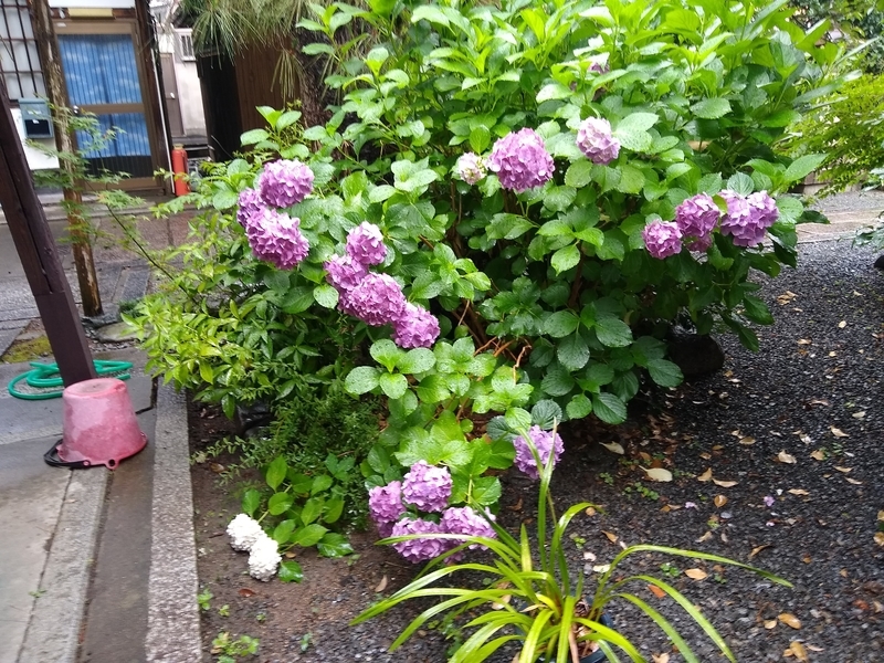 f:id:keisato0:20210624143710j:plain