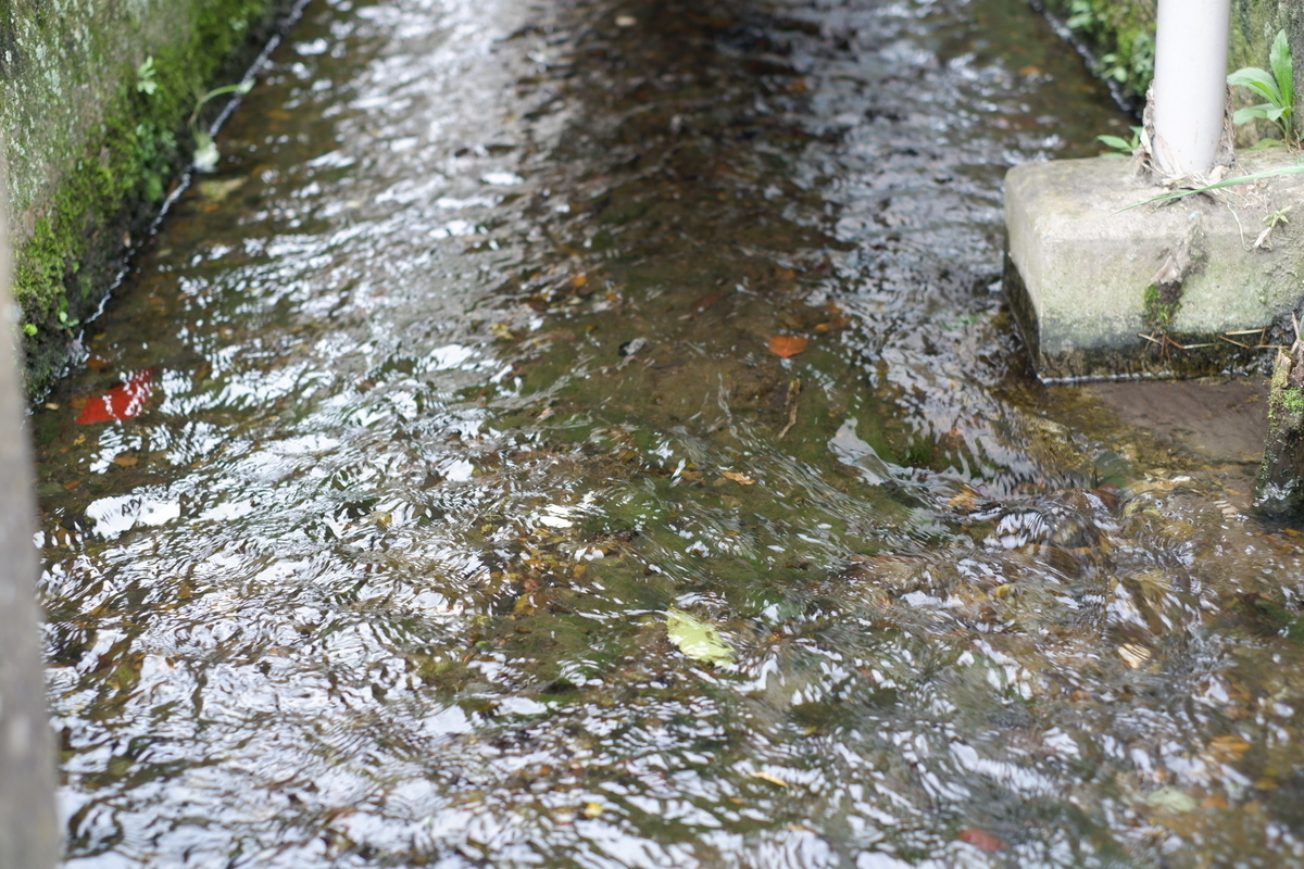 f:id:keisei_1092:20200718212528j:plain