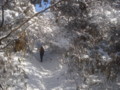 [写真][風景][山]金剛山_二度目の冬山_樹氷綺麗