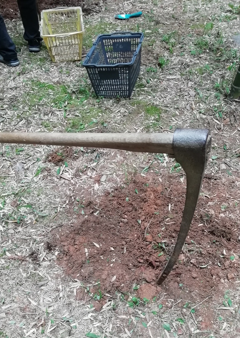 f:id:keisfarm:20200426185246j:plain