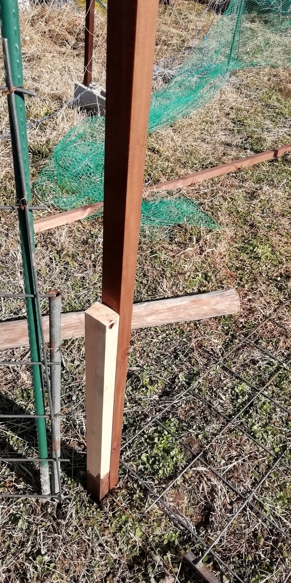 f:id:keisfarm:20210118215310j:plain