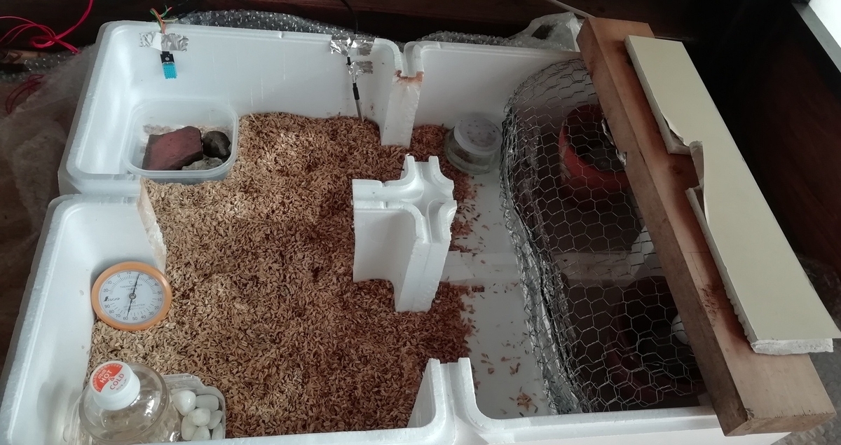 f:id:keisfarm:20210603064519j:plain