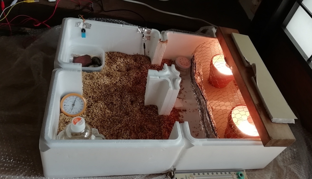 f:id:keisfarm:20210603064525j:plain