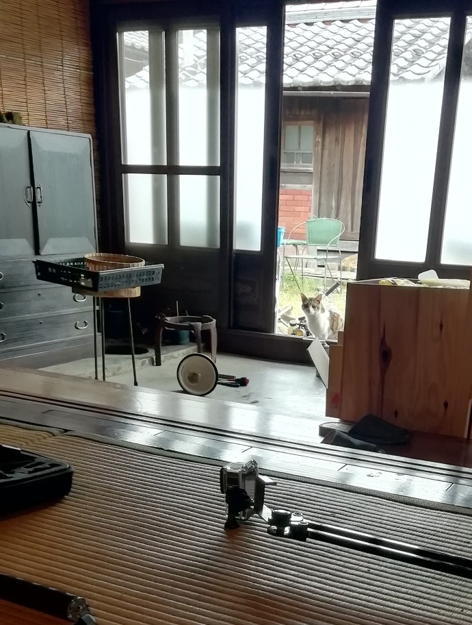 f:id:keisfarm:20210702235320j:plain