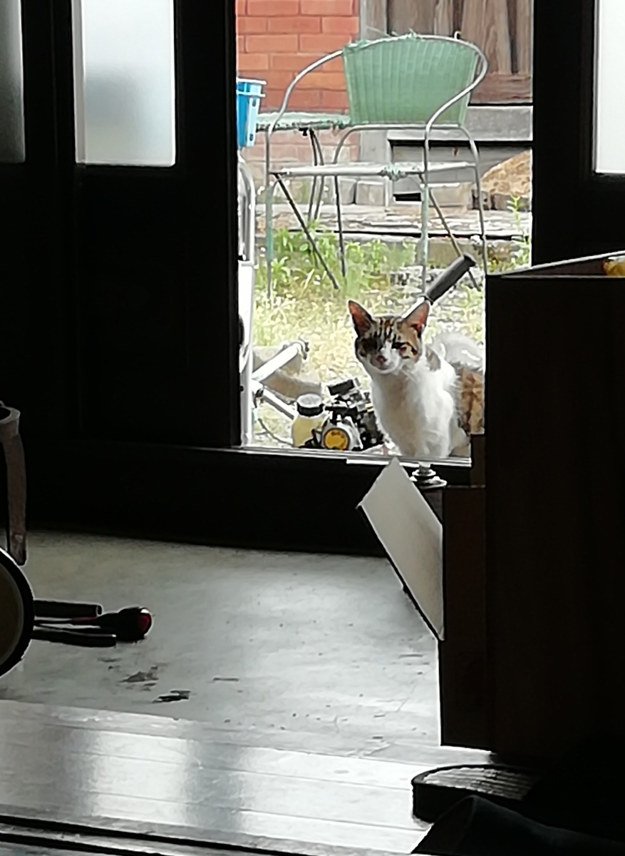 f:id:keisfarm:20210702235324j:plain