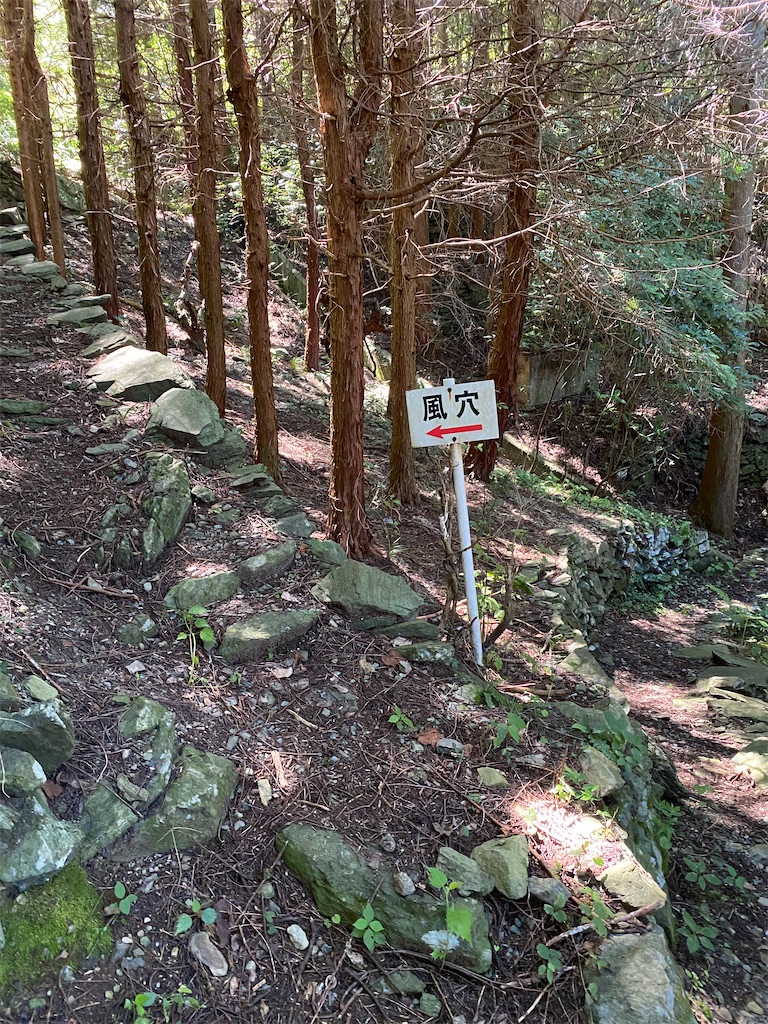 f:id:keishiro-shiraishi:20200817112223j:image f:id:keishiro-shiraishi:20200817112223j:image