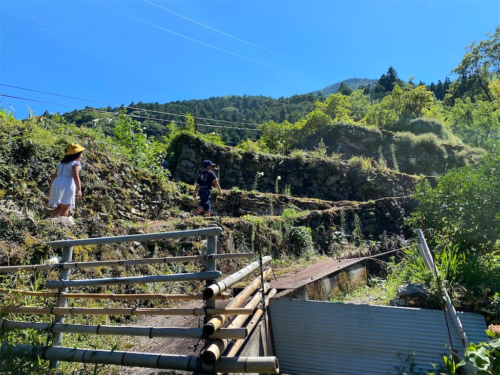 f:id:keishiro-shiraishi:20200817112230j:image f:id:keishiro-shiraishi:20200817112230j:image