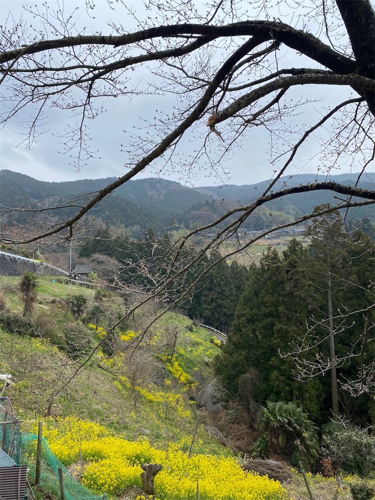 f:id:keishiro-shiraishi:20210318122037j:image f:id:keishiro-shiraishi:20210318122037j:image