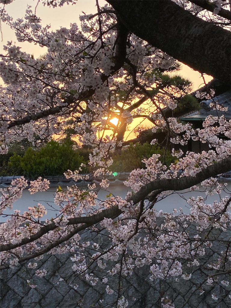 f:id:keishiro-shiraishi:20210331105136j:image f:id:keishiro-shiraishi:20210331105136j:image