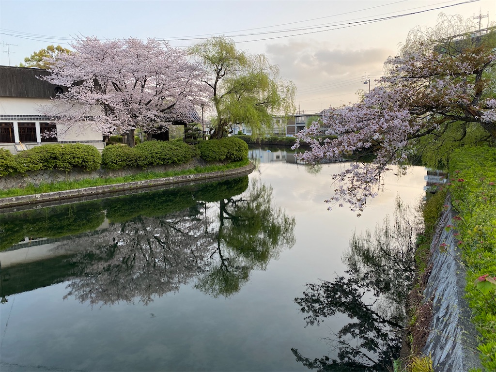f:id:keishiro-shiraishi:20210331105324j:image f:id:keishiro-shiraishi:20210331105324j:image