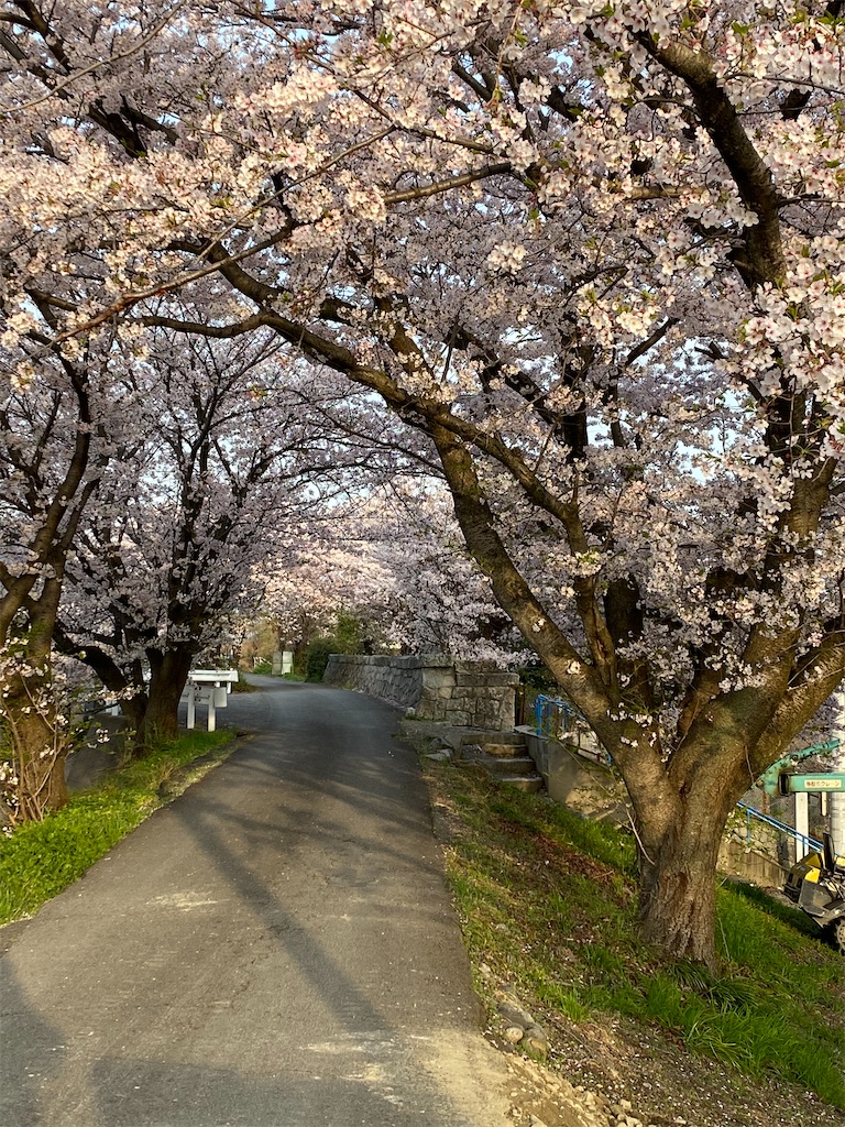f:id:keishiro-shiraishi:20210331105343j:image f:id:keishiro-shiraishi:20210331105343j:image