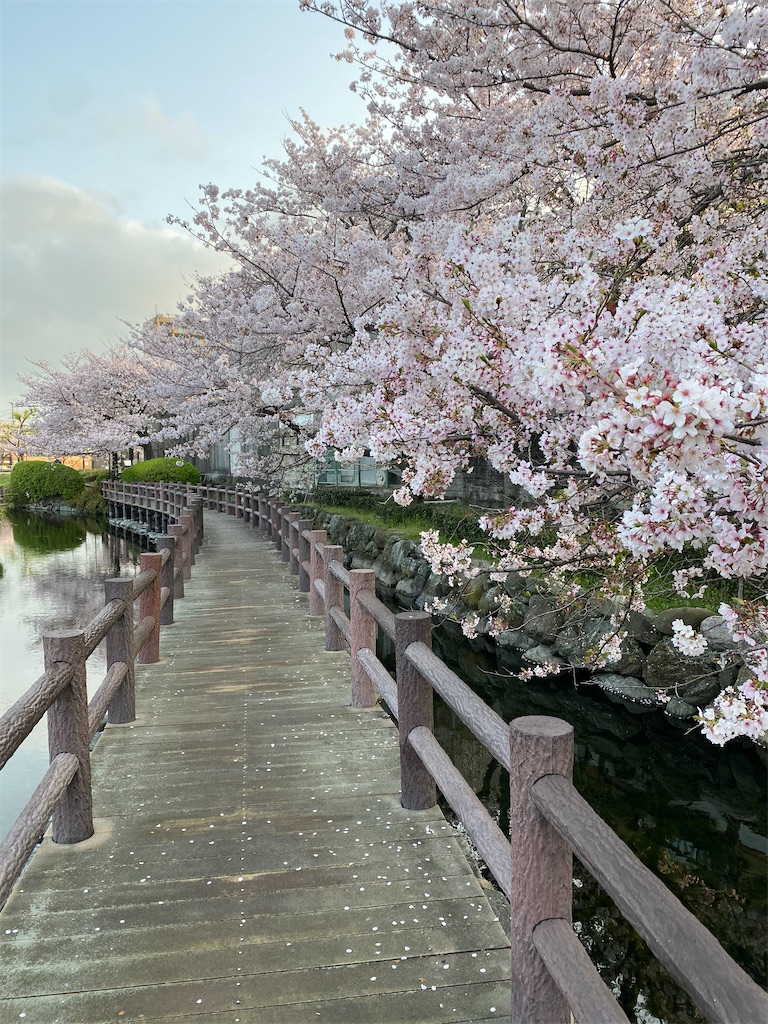 f:id:keishiro-shiraishi:20210331105431j:image f:id:keishiro-shiraishi:20210331105431j:image