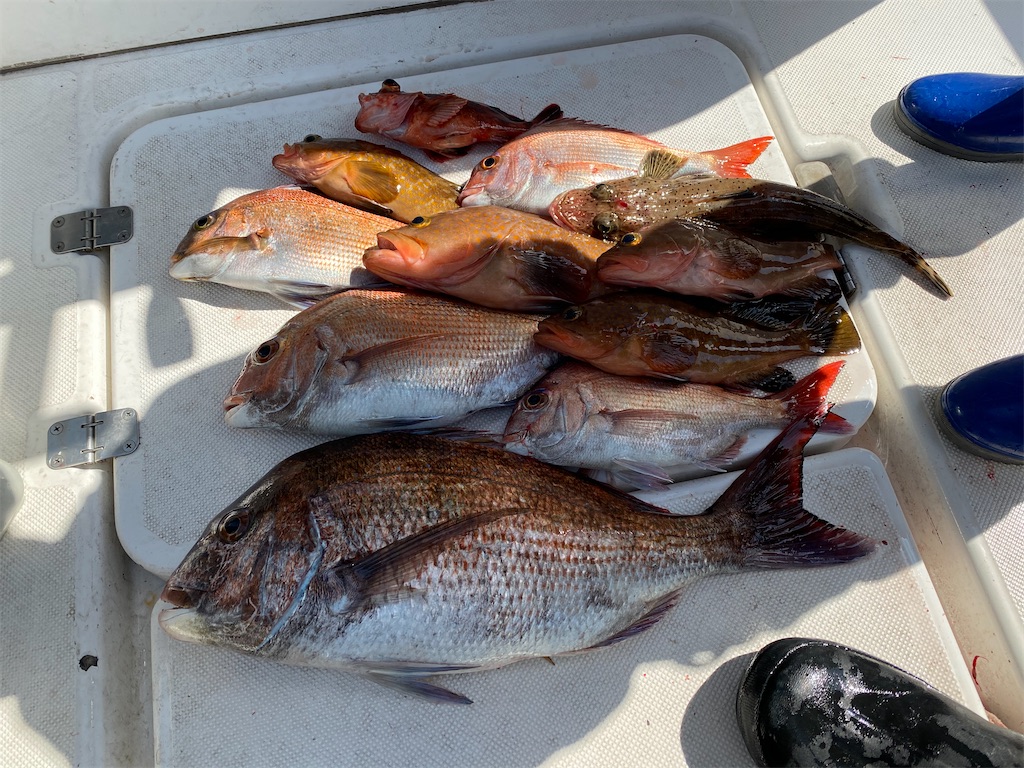 f:id:keishiro-shiraishi:20220815101722j:image