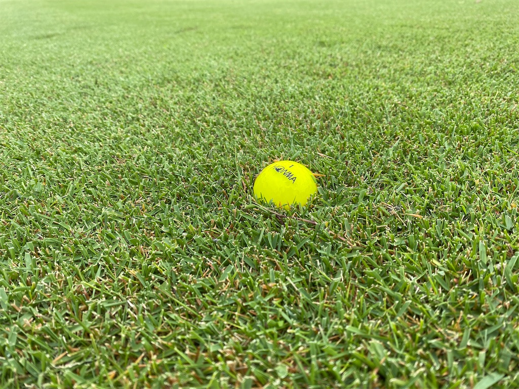 f:id:keishiro-shiraishi:20220815101816j:image