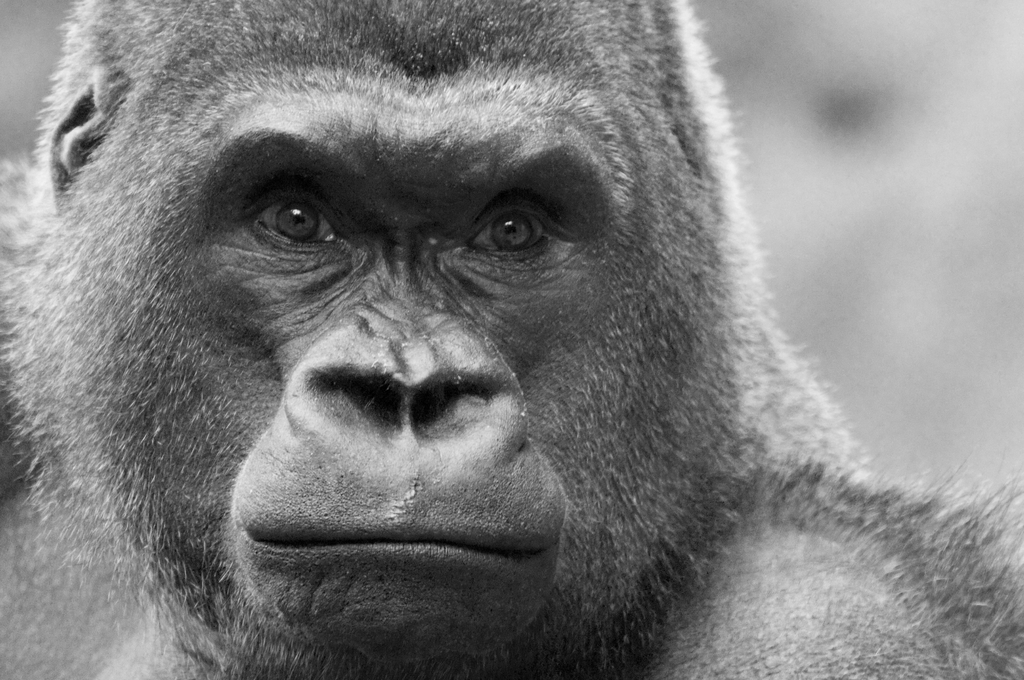 f:id:keisolutions:20101030134921j:plain