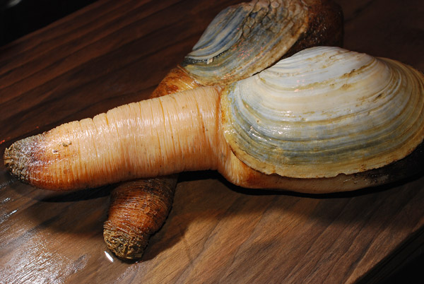 f:id:keisolutions:20170421231108j:plain f:id:keisolutions:20170421231108j:plain