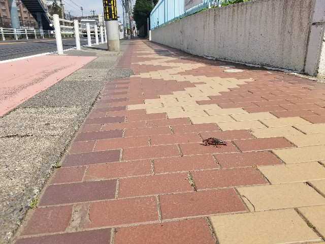 f:id:keisolutions:20180604224907j:image