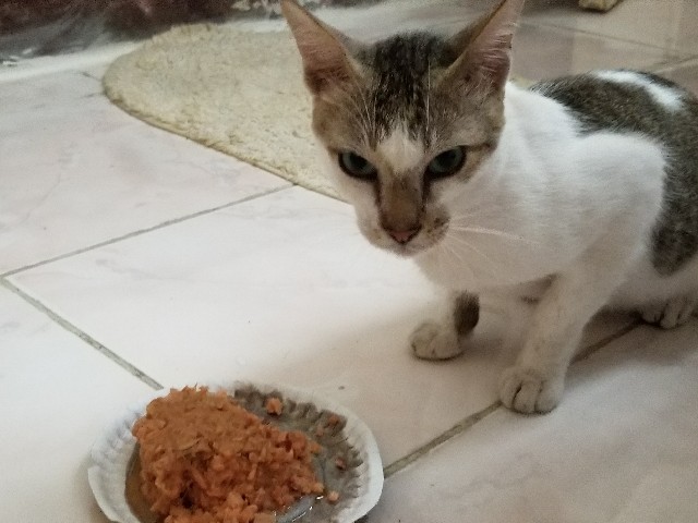 f:id:keisolutions:20180626022313j:image f:id:keisolutions:20180626022313j:image