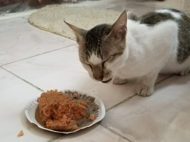 f:id:keisolutions:20180626022330j:image f:id:keisolutions:20180626022330j:image