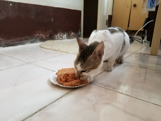 f:id:keisolutions:20180626022348j:image f:id:keisolutions:20180626022348j:image