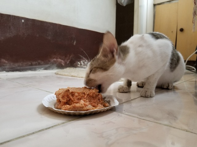 f:id:keisolutions:20180626022410j:image f:id:keisolutions:20180626022410j:image