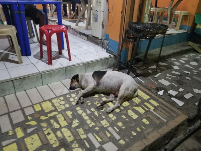 f:id:keisolutions:20190113231819j:image