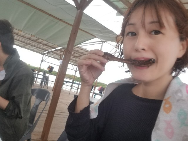 f:id:keisolutions:20190318141424j:image