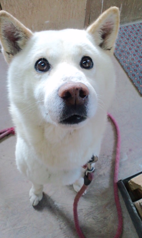 f:id:keisuiyou:20120211132324j:image:w360:left