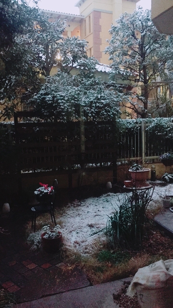 f:id:keisuke42001:20190210101721j:plain f:id:keisuke42001:20190210101721j:plain