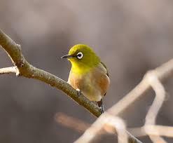 f:id:keisuke42001:20190210102044j:plain f:id:keisuke42001:20190210102044j:plain