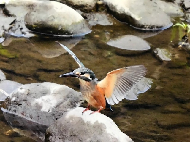 f:id:keisuke42001:20210822141007j:plain