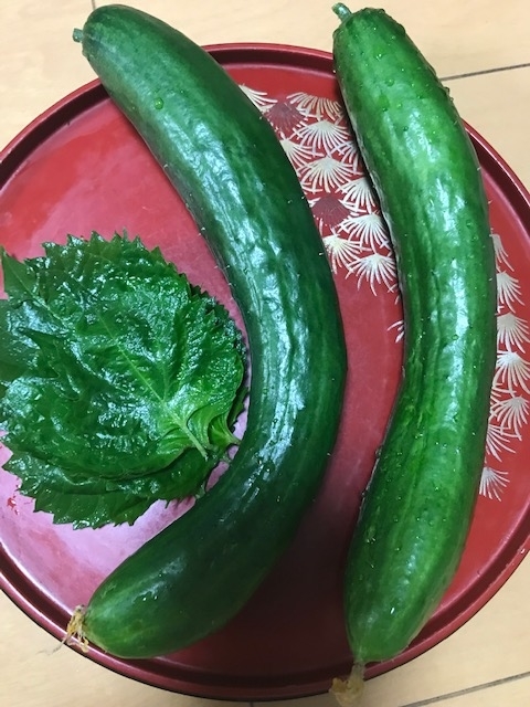 f:id:keisuke42001:20210905113846j:plain