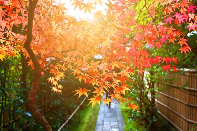 f:id:keisukemurayama:20181012145401j:plain f:id:keisukemurayama:20181012145401j:plain