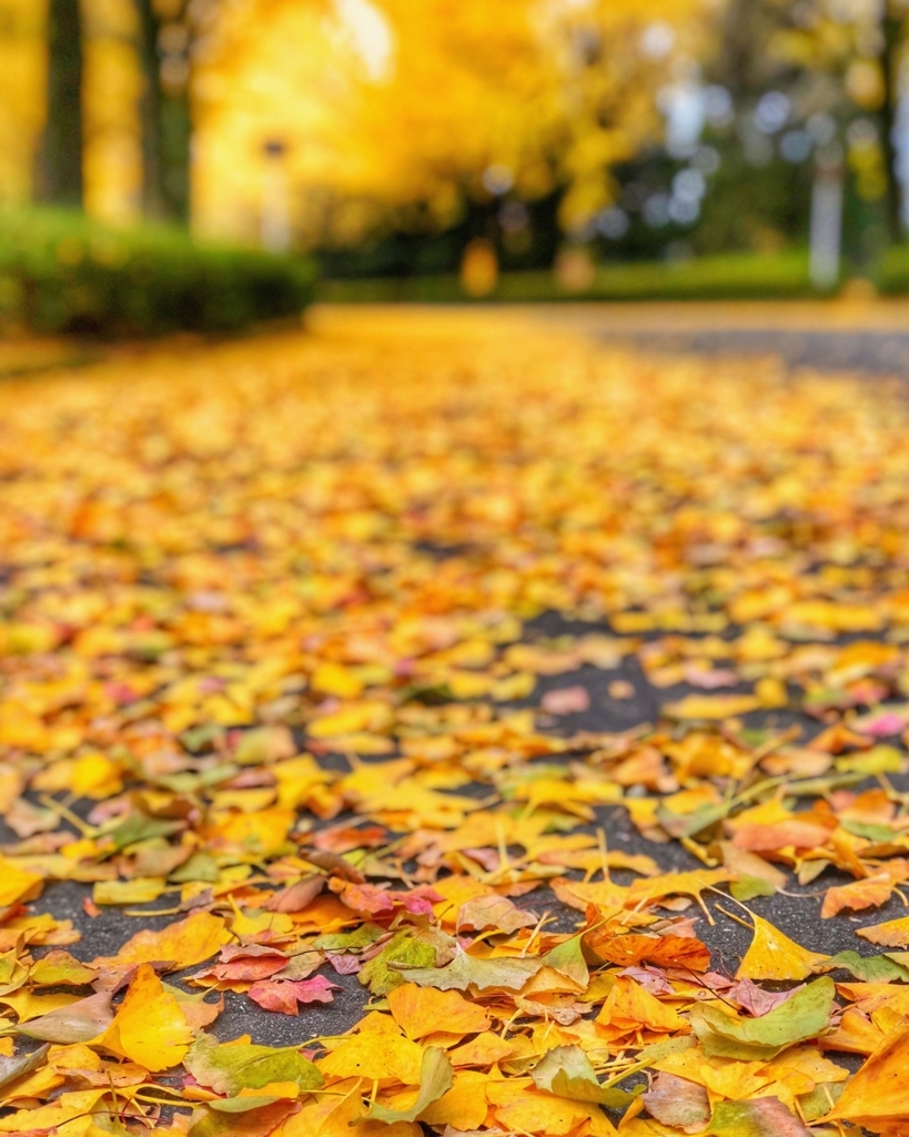 f:id:keisukest:20171125085039j:plain f:id:keisukest:20171125085039j:plain