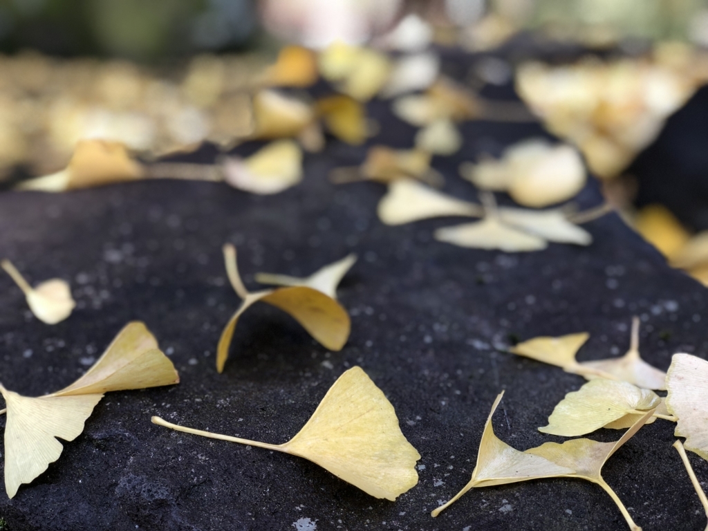 f:id:keisukest:20171127102427j:plain f:id:keisukest:20171127102427j:plain