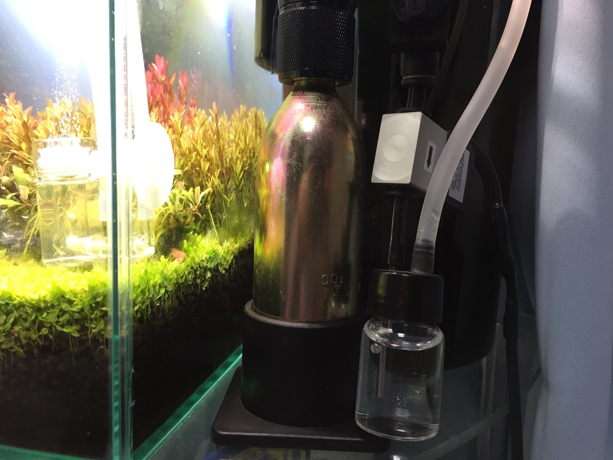 クリアco2ボンベスタンド 水草とコリドラス