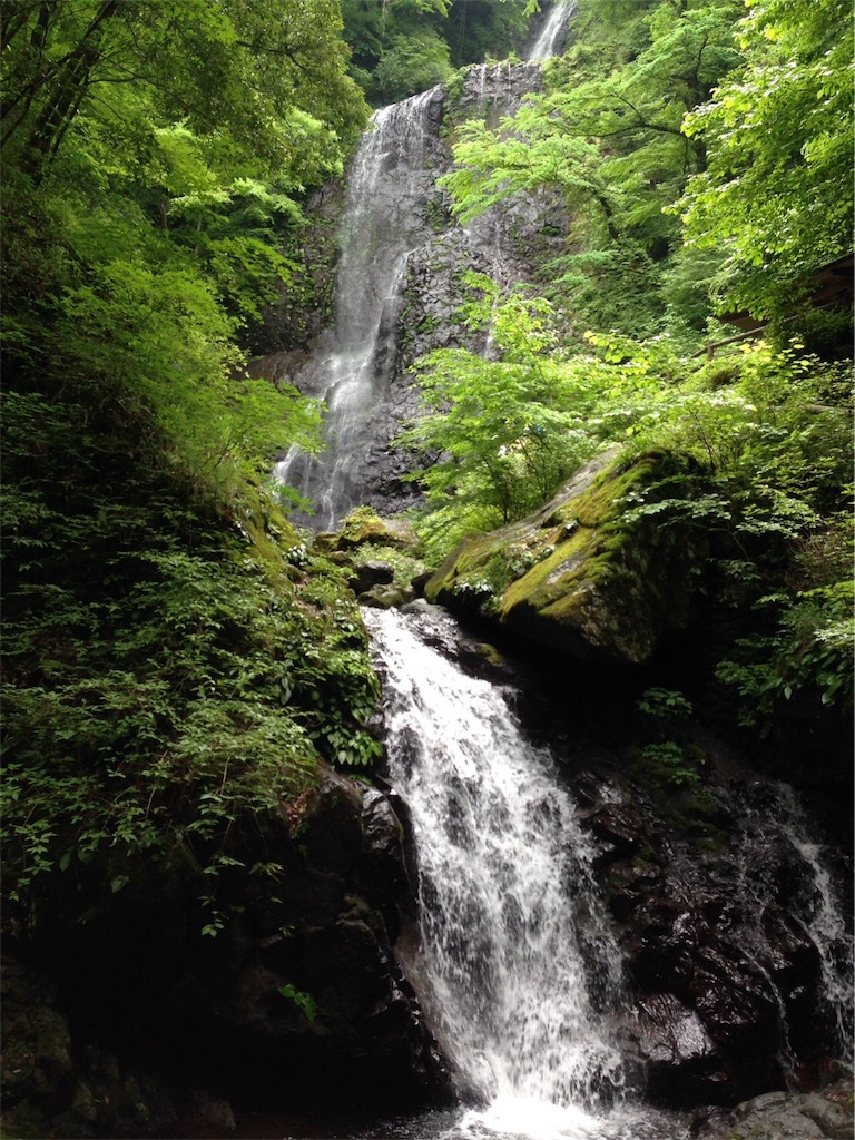 f:id:keitaf31:20170622210306j:image f:id:keitaf31:20170622210306j:image